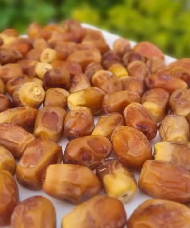 تصویر 1 از خرید خرما زاهدی خشک + قیمت فروش استثنایی